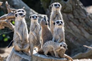体臭対策におすすめの石鹸ランキングは？