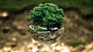 腸内環境を改善するサプリは体臭にどのように影響するのか？