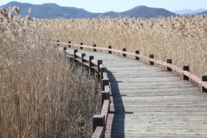 体臭をなくす方法にはどんな効果的な対策がある？