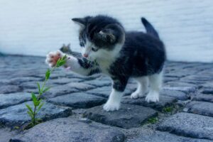体臭対策に効果的な石鹸はどれですか？