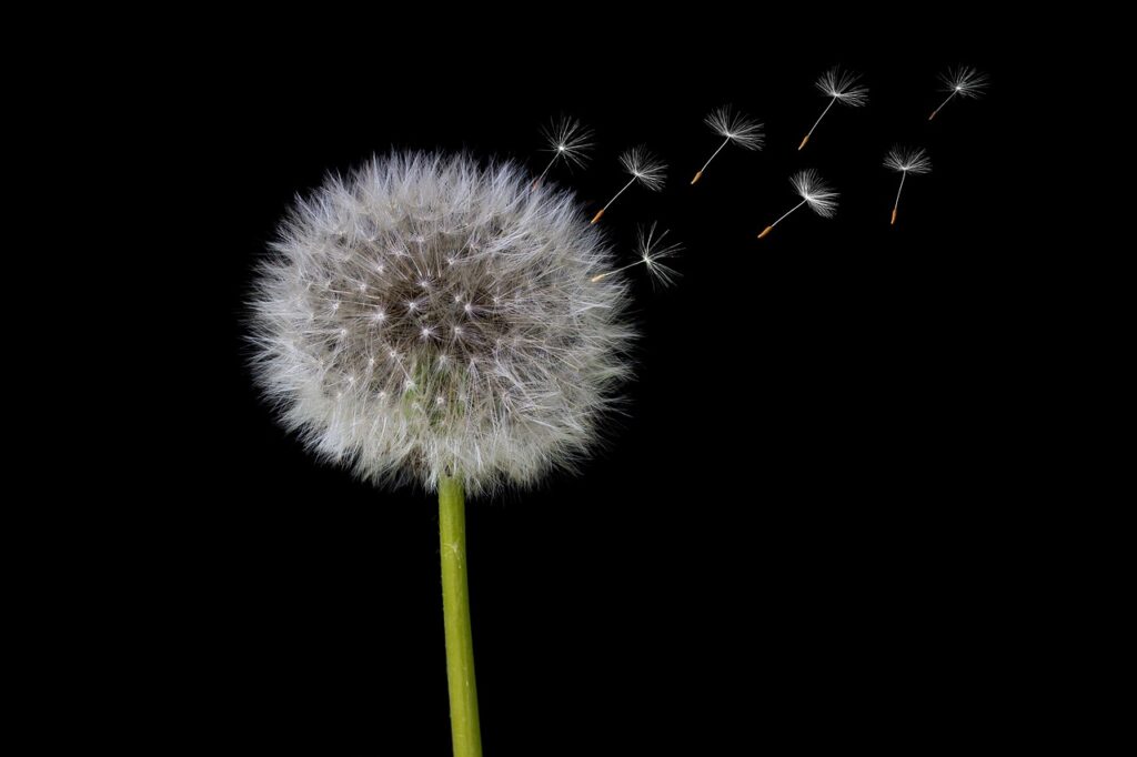 体臭が強い人の特徴とはどんなものがあるのか？