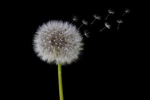 体臭が強い人の特徴とはどんなものがあるのか？