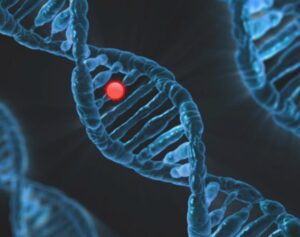 体臭の遺伝が原因で悩む人はどのように対策すれば良い？