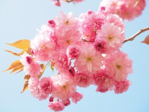 汗の匂いを効果的に洗濯する方法は？