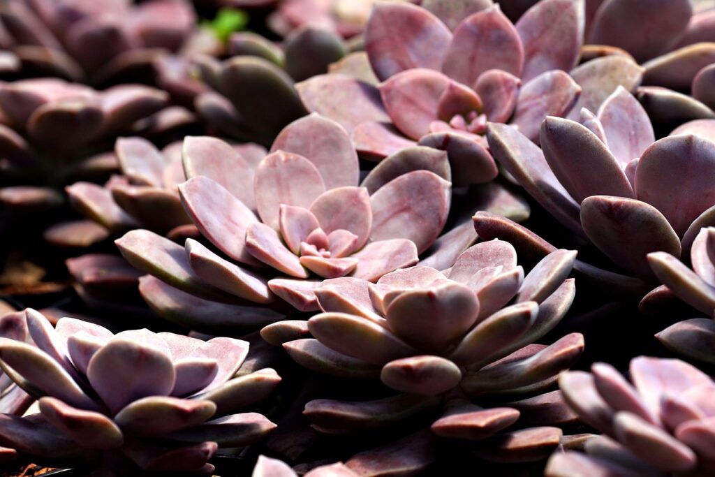 腸活で体臭の悩みを解消する方法は？